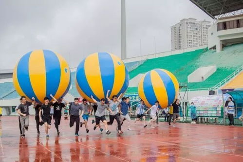 “趣味运动会”引领文体活动新浪潮 企业形象策划的创新实践